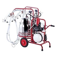 Kurtsan Km03042 Dört Sağım Çift Güğüm Koyun/Keçi Süt Sağım Makinesi 60 Litre Yağlı