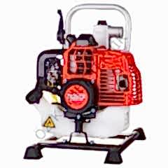 Palmera QGZ25-30E Su Motoru 1''